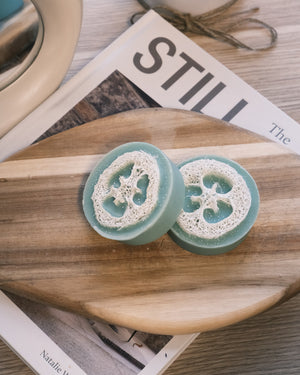 Two loofah sponges
